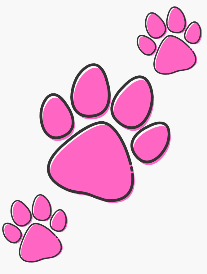 Three pink paw prints