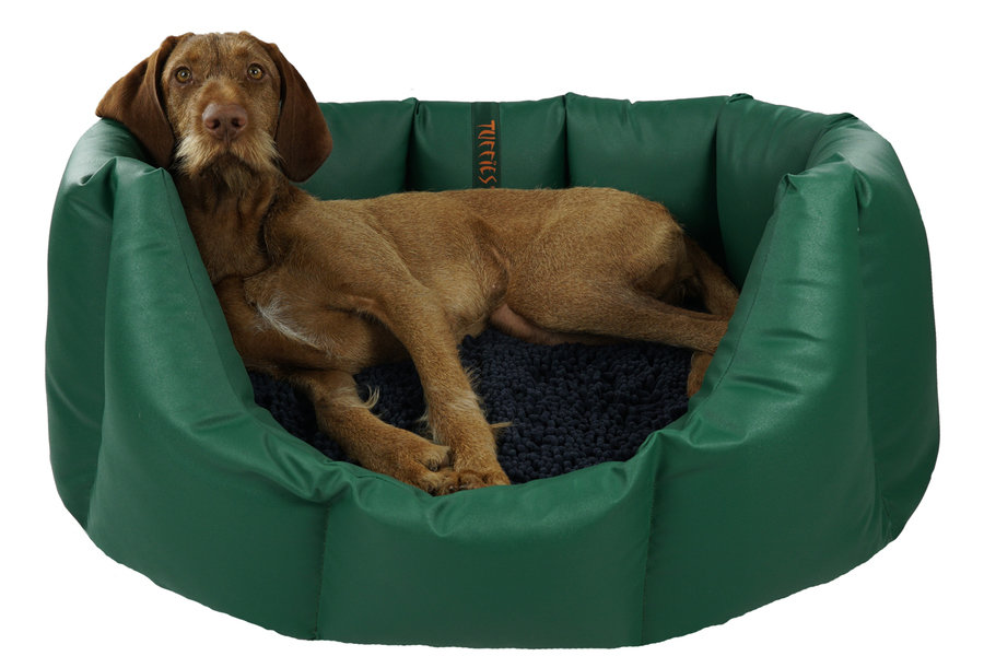 Why large dog beds are worth it
