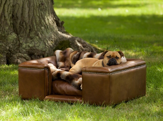Why leather dog beds are worth it